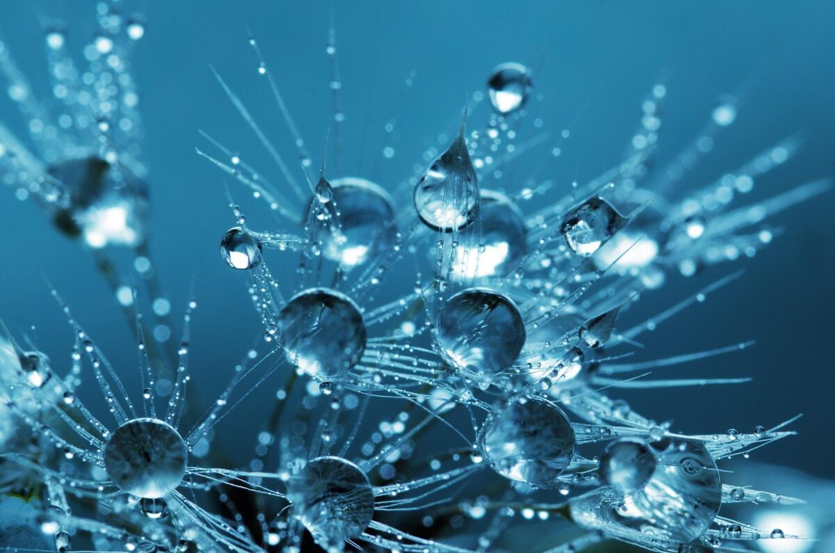 Nanofluidi: introduzione fenomenologica ed applicazioni - pixabay.com