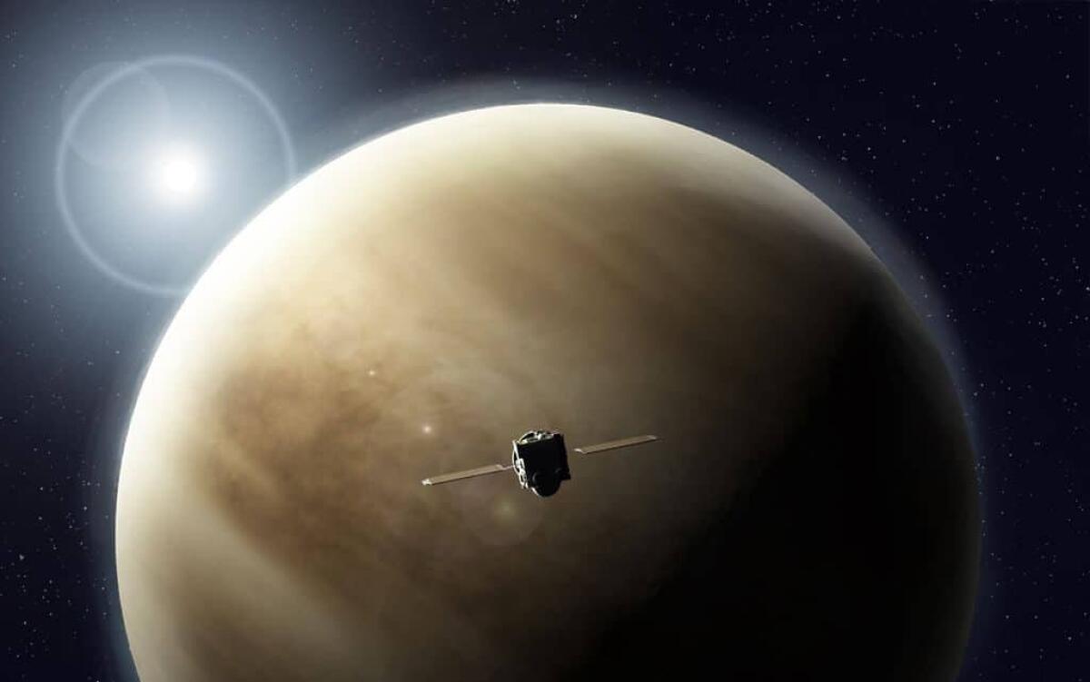 Sfuma l'ipotesi di trovare vita su Venere - Venere
Photo by: Focus Universe