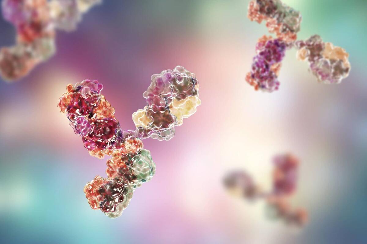 Anticorpi monoclonali: cosa sono e a cosa servono? - Credits: fondazioneveronesi