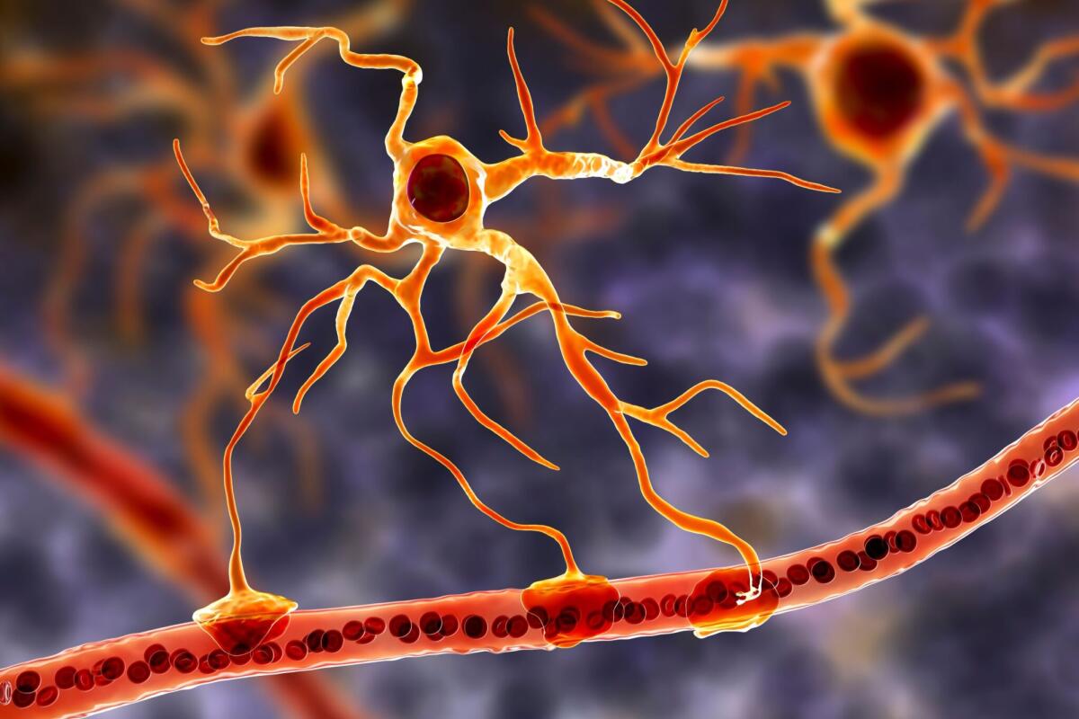Le differenze nelle cellule cerebrali delle persone con depressione - Le differenze nelle cellule cerebrali delle persone con depressione