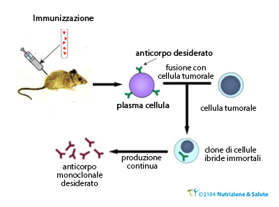 Credits: Microbiologiaitalia