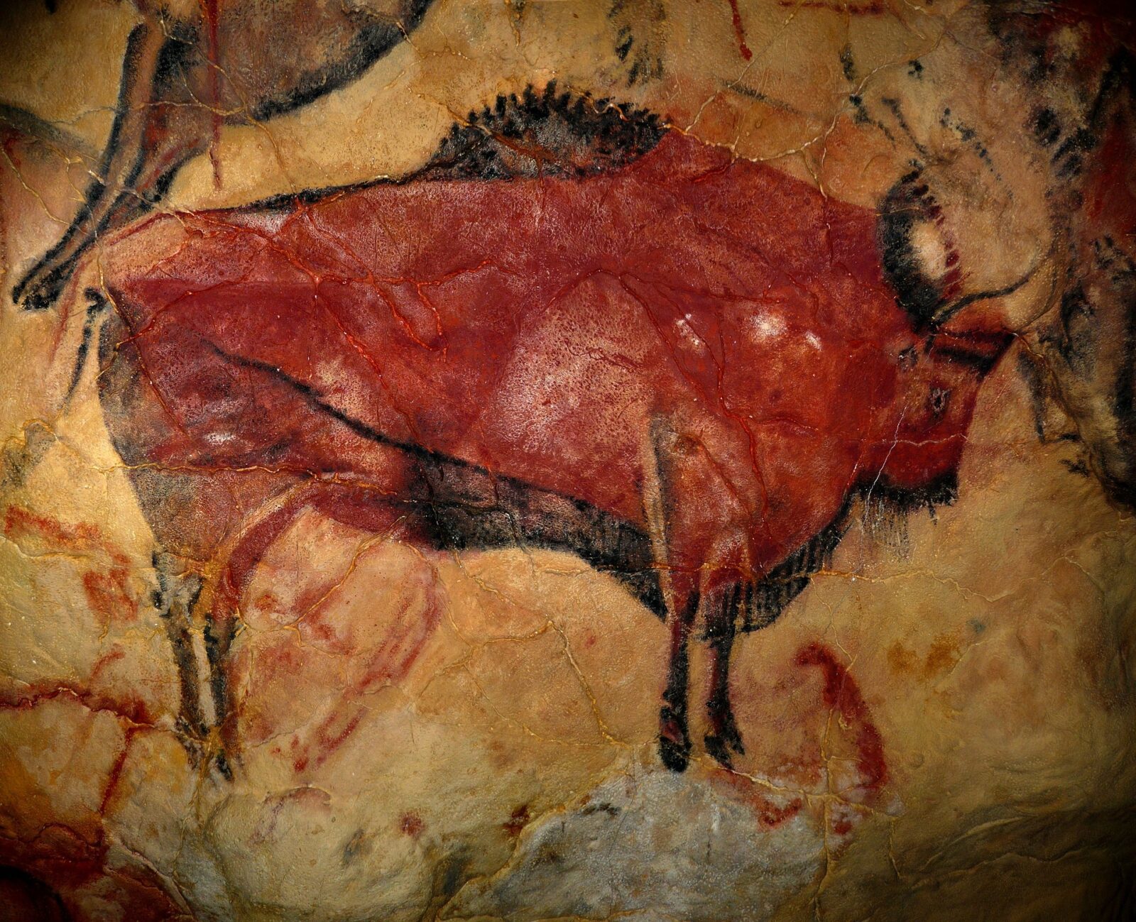 Pittura rupestre risalente al paleolitico, un antenato della moderna carta da parati