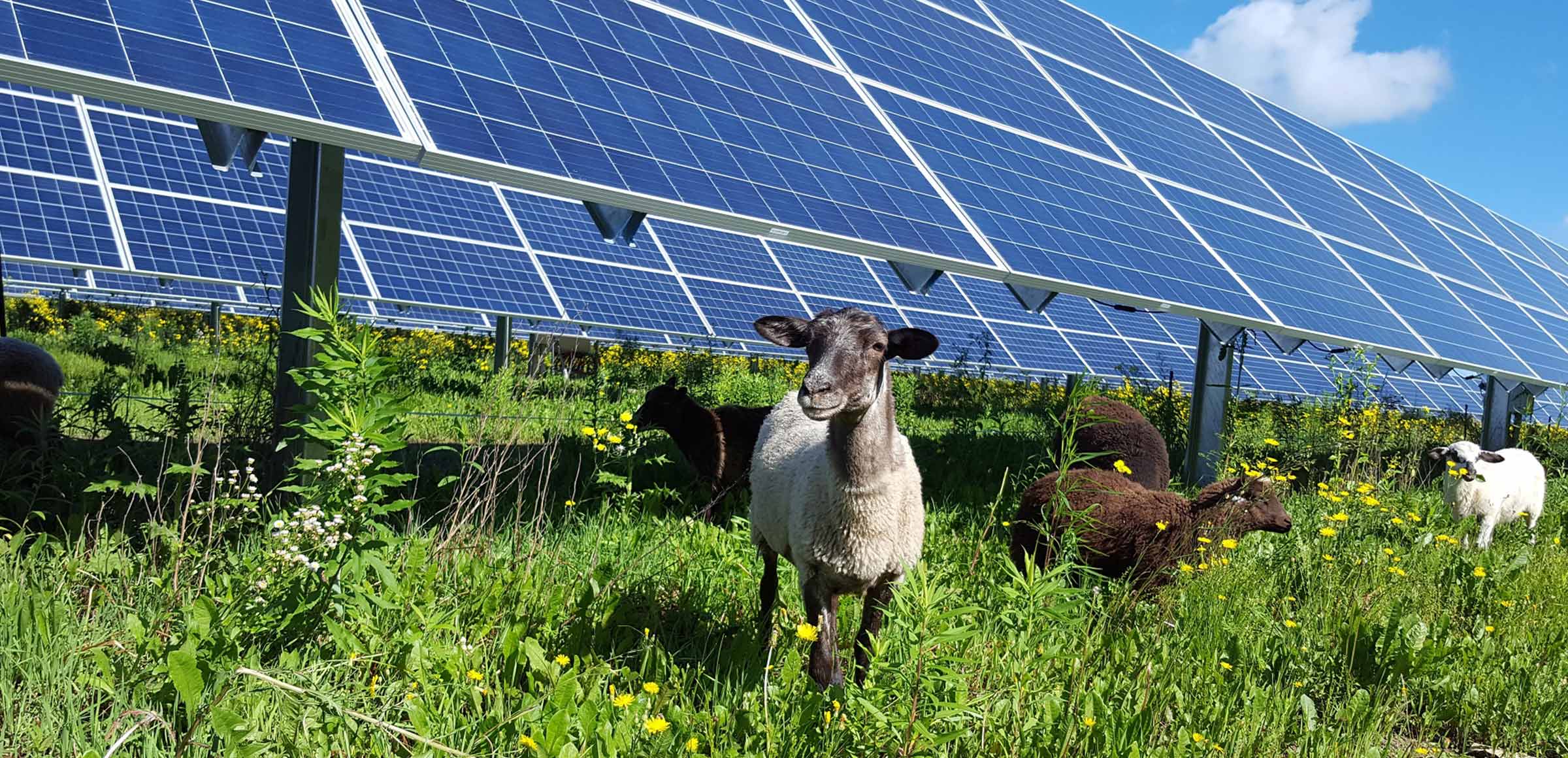 enelgreenpower.com