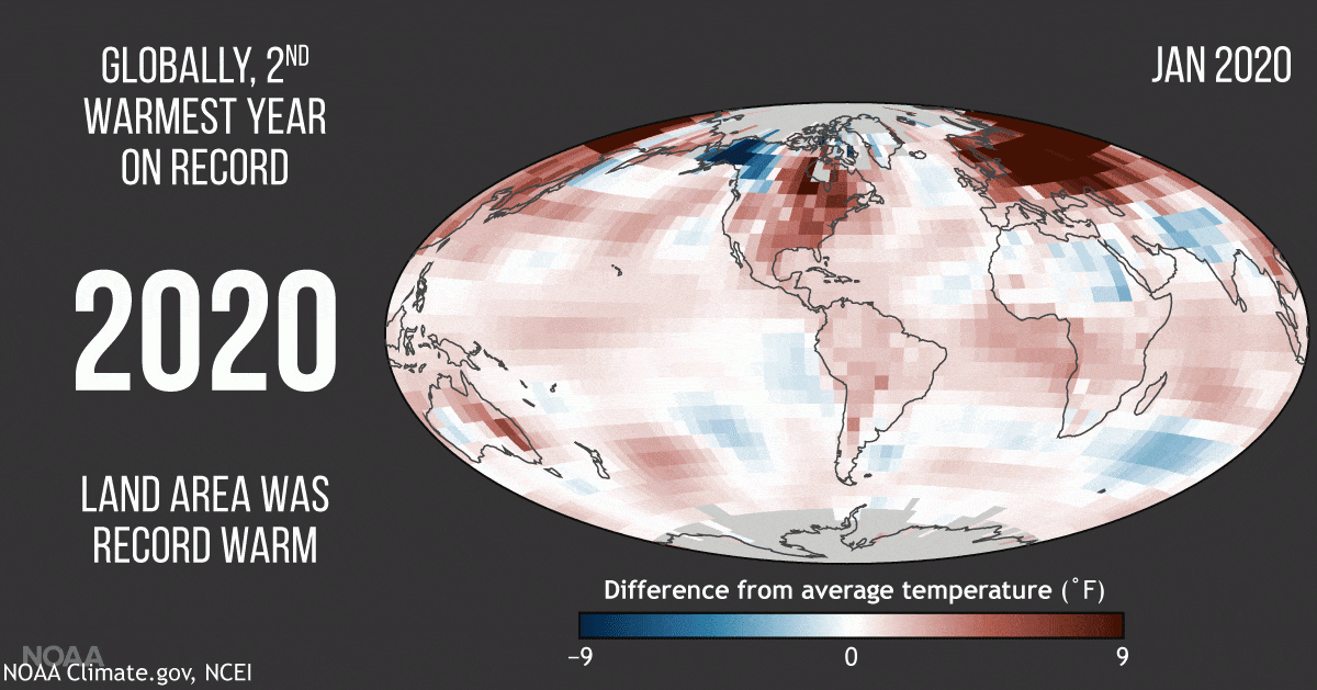 Un'animazione mese per mese delle temperature da gennaio a dicembre 2020 rispetto alla media 1981-2010. La diapositiva finale mostra la media del 2020Credits: NOAA