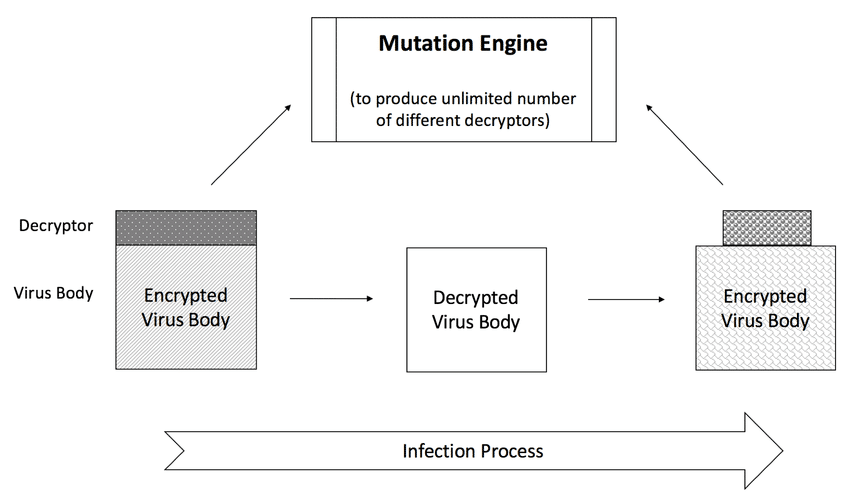 Il meccanismo sfruttato dai virus polimorfici per replicarsi modificandosi. Le varianti come questa usano un motore per decifrare il codice malevolo del virus e ricifrarlo con un'altra chiave, modificando di fatto la forma. Fonte: Research Gate
