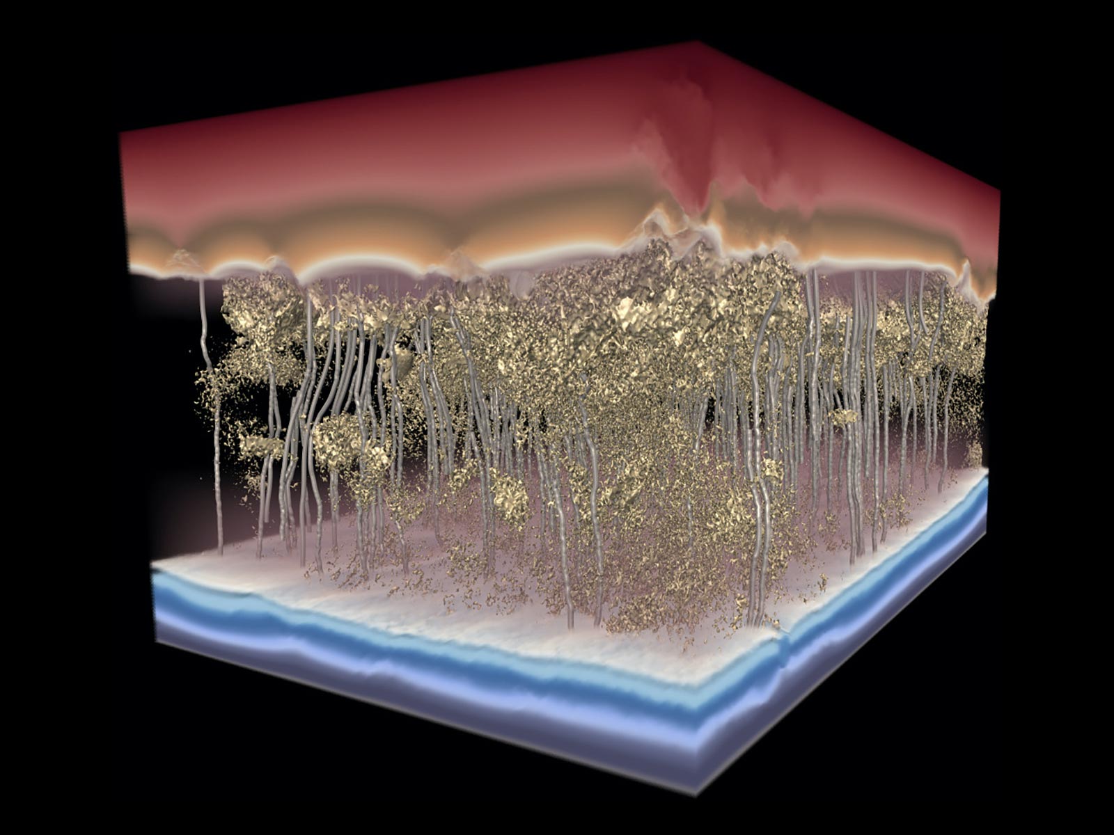 Riproduzione 3D della membrana. Credits: Università del Texas, Penn University