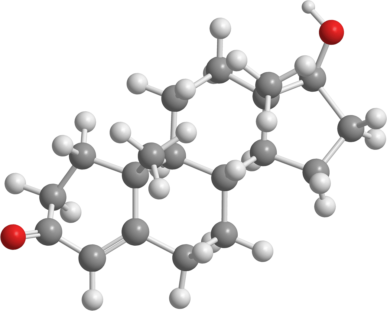 Modello della molecola di testosterone (C19H28O2). Credits: Pixabay