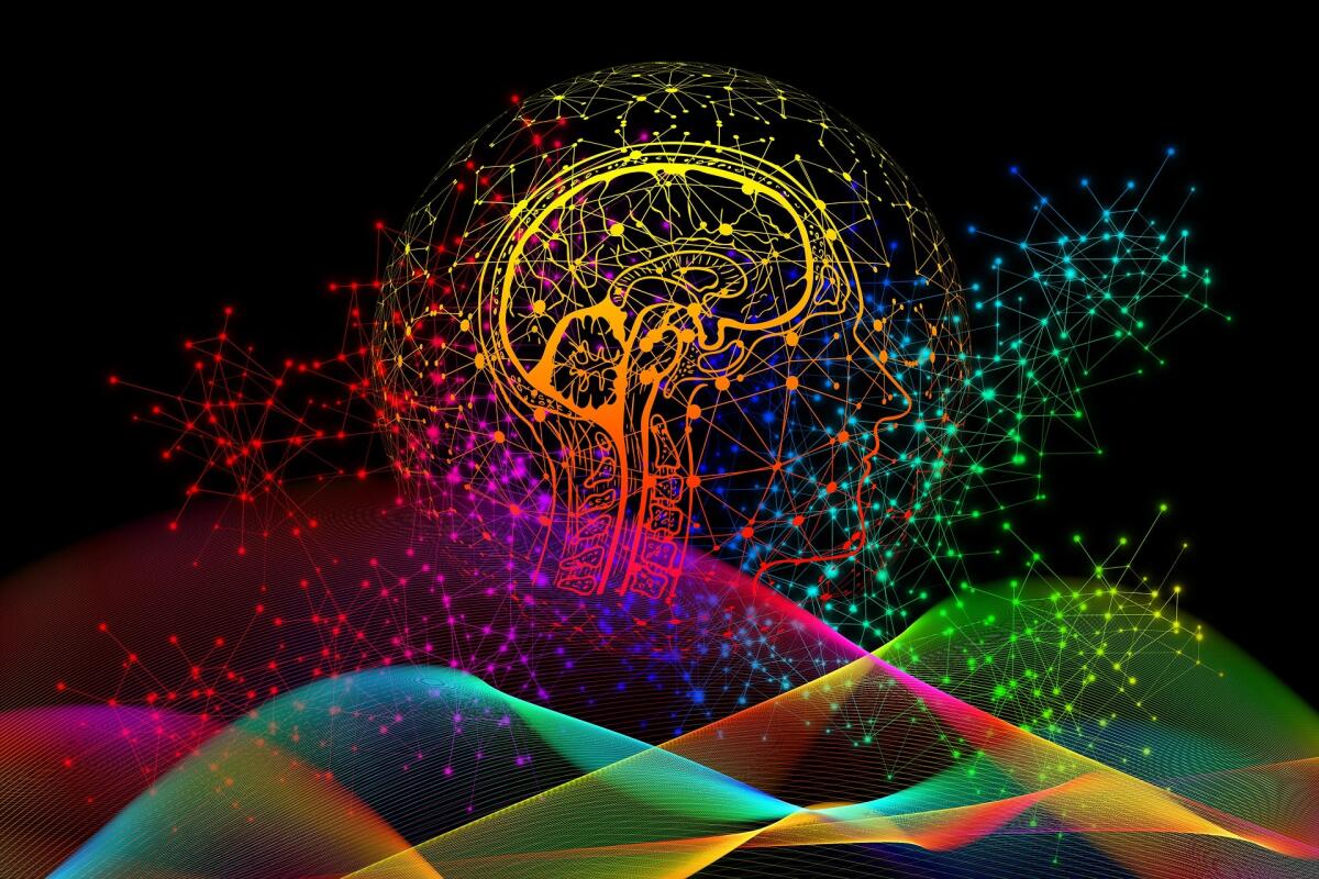 Un viaggio all’interno del cervello: cosa sono le emozioni - Un viaggio all’interno del cervello: cosa sono le emozioni