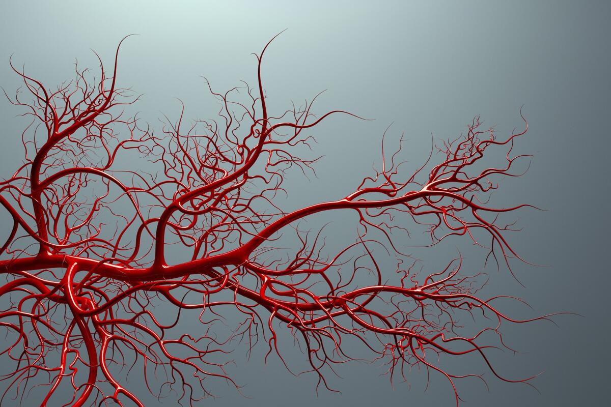 Biostampa 3D: una nuova strategia per creare vasi sanguigni - Biostampa 3D: una nuova strategia per creare vasi sanguigni