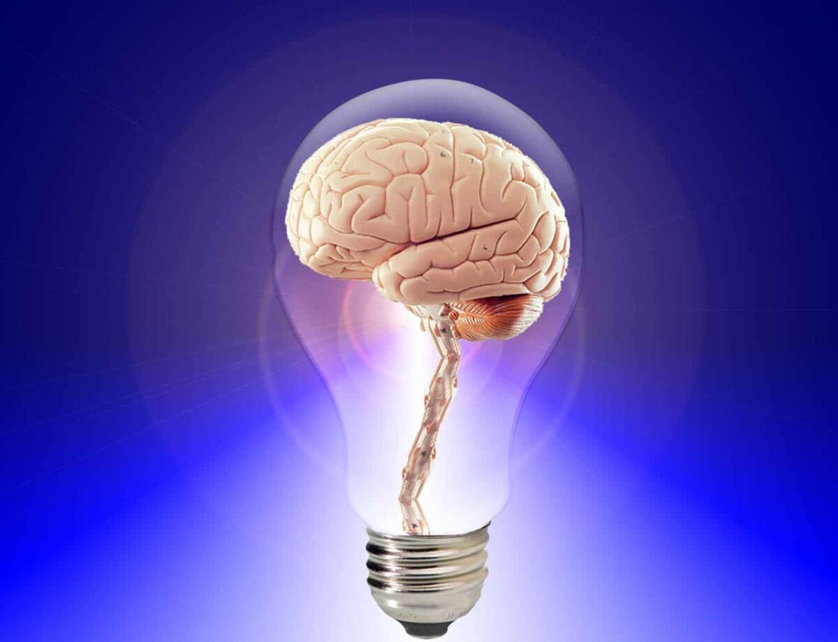 Come funziona la mente: cos’è l’intelligenza? - 