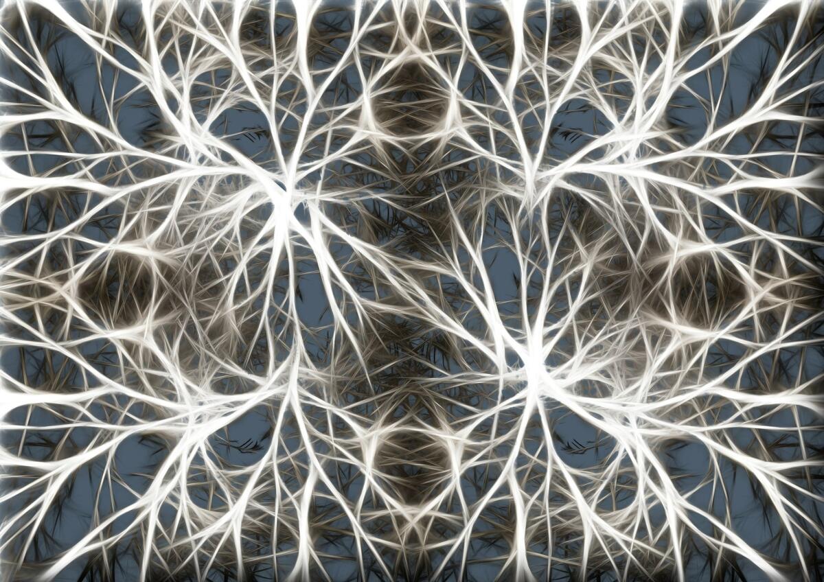 Alzheimer, un nuovo farmaco previene la formazione di placche amiloidi - Alzheimer, neuroni, placche senili, farmaco