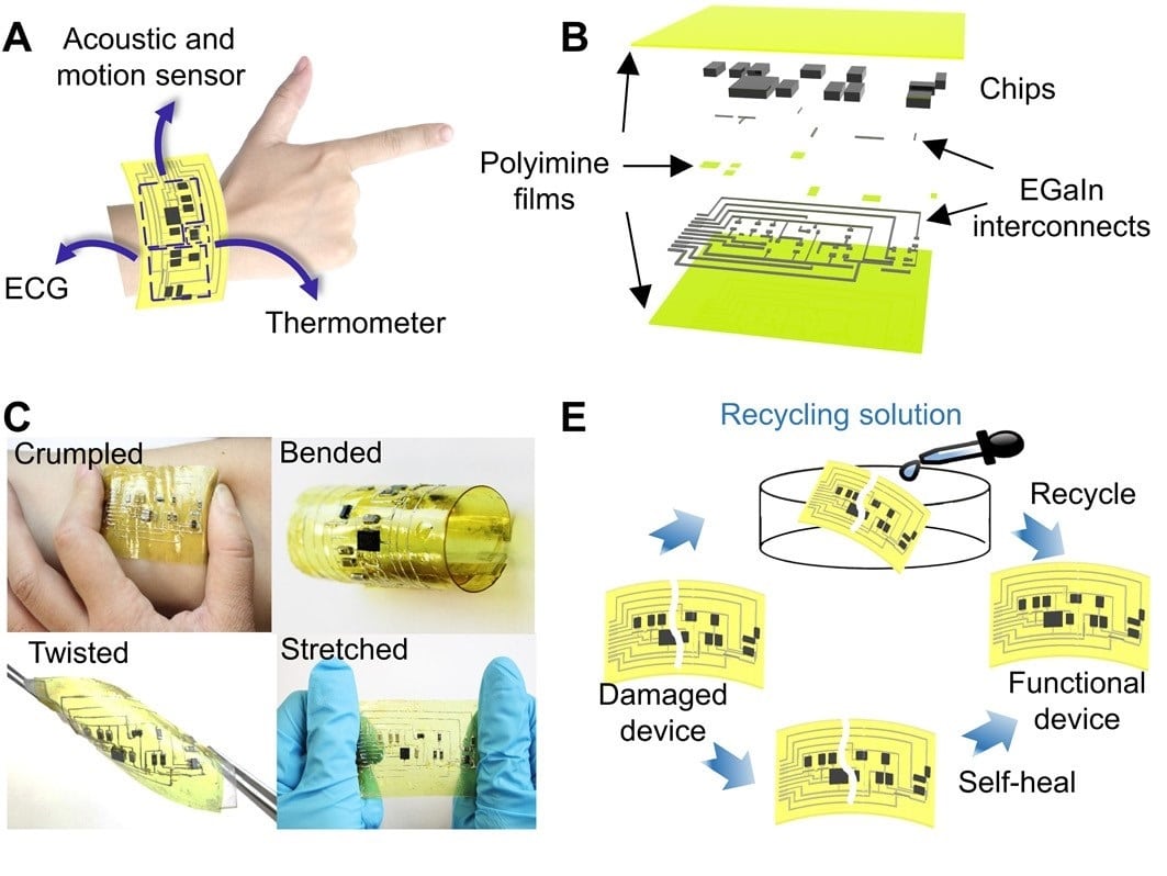(A) Illustrazione schematica di un sistema elettronico indossabile multifunzionale montato sulla mano che integra un sistema di rilevamento ECG, acustico, di movimento e di temperatura; (B) vista esplosa del sistema elettronico indossabile; (C) Immagini o