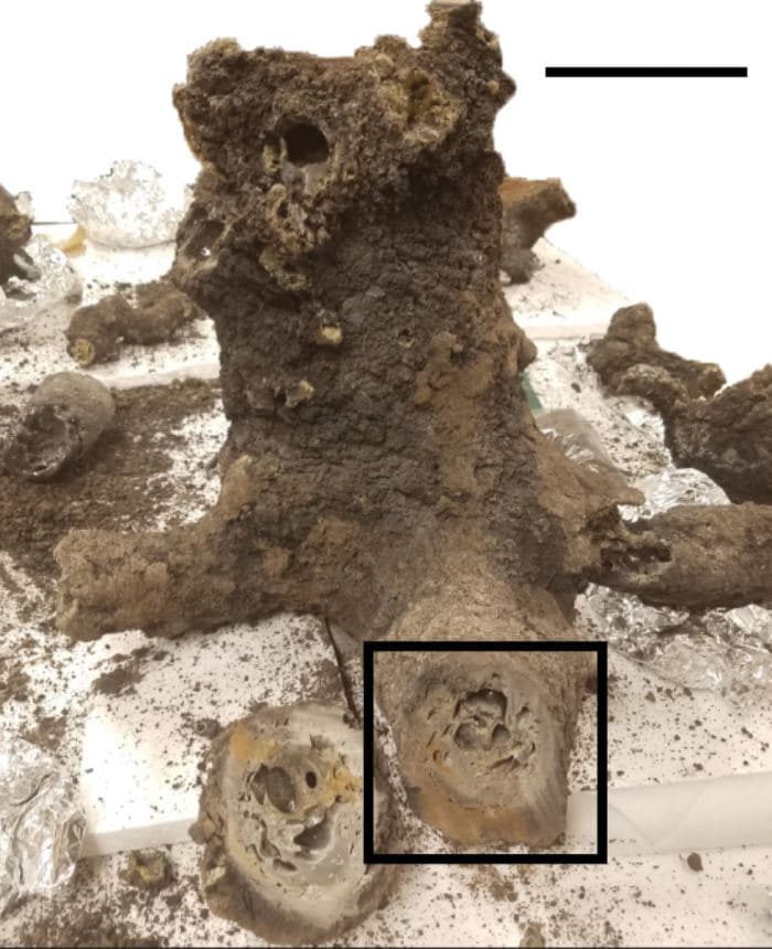 Sezione principale di una folgorite argillosa creata da un fulmine che colpisce il terreno. L'interno spesso e vetroso della folgorite è rivestito di terra bruciata. La scatola nera indica la posizione del campione analizzato per lo studio condotto dal te