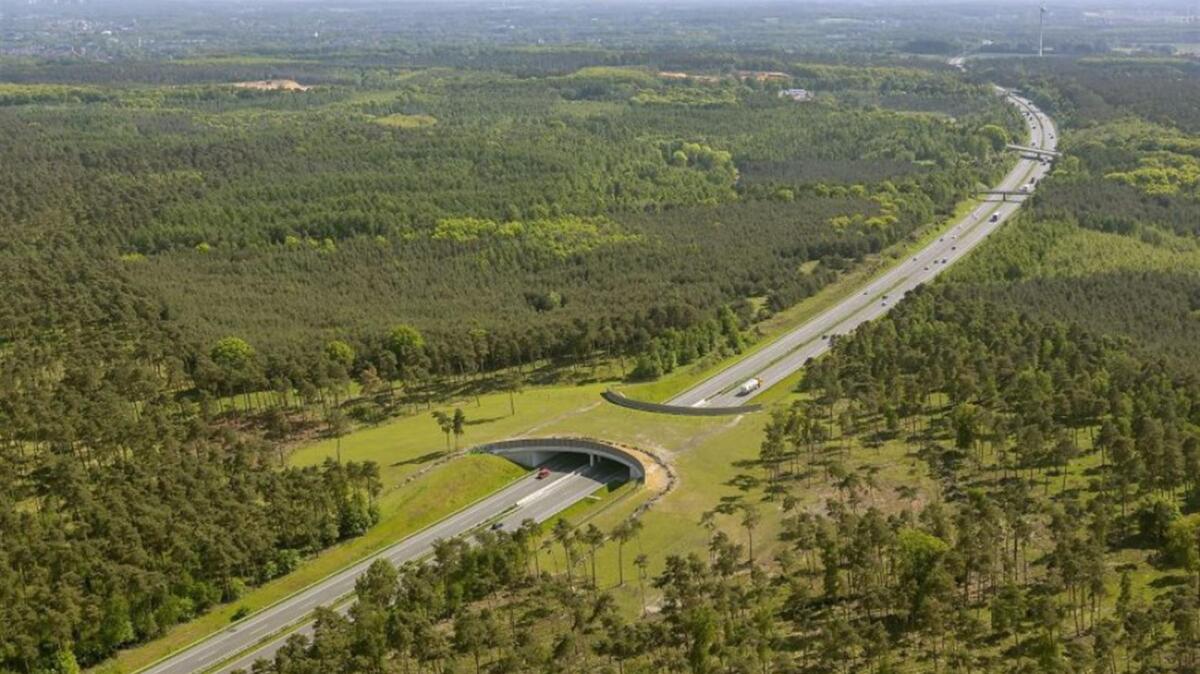 Infrastrutture sostenibili, un nuovo modo di concepire le strade - ciriesco.it