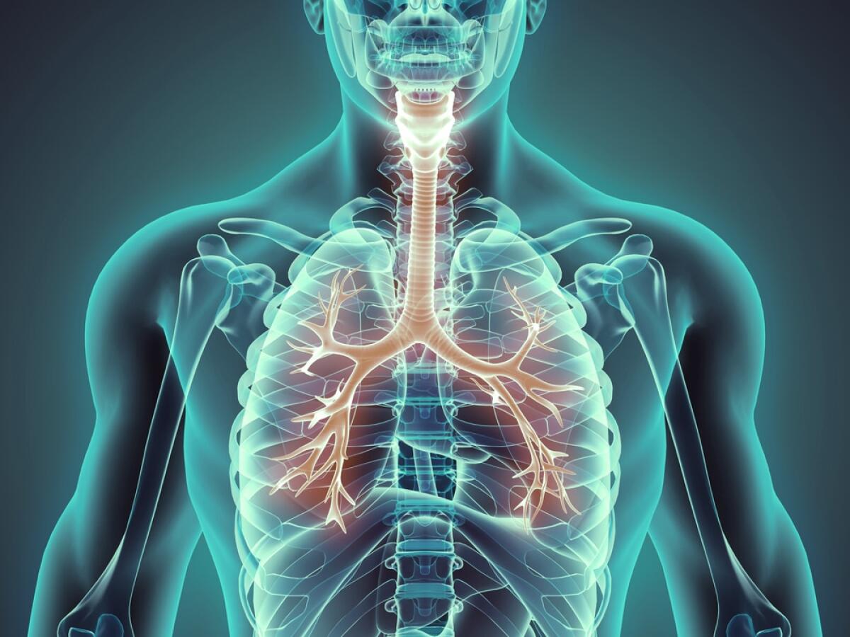 Trapianto di trachea completo eseguito per la prima volta al mondo - Credits: Centro medico Martini