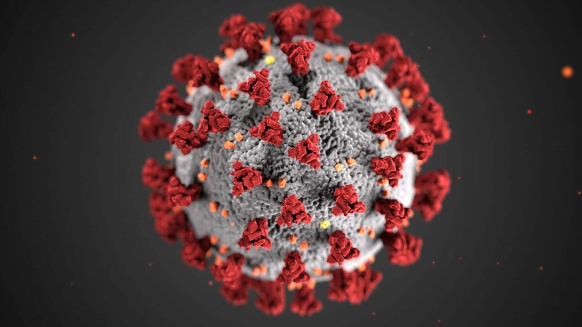 NIRVANA: il test rapido per rilevare Covid-19, influenza e altri virus - Il vaccino Pfizer