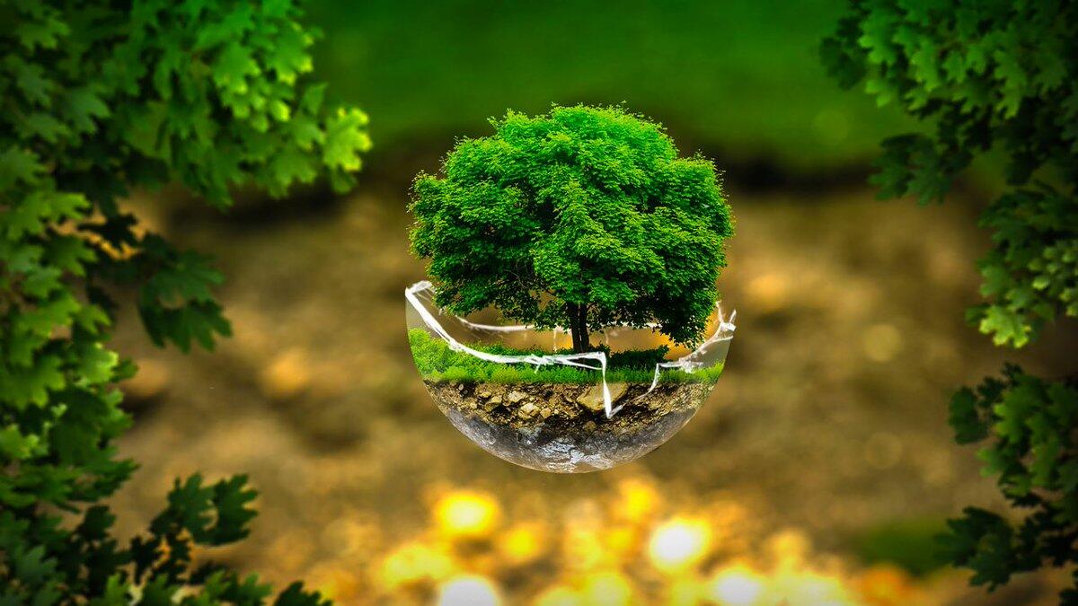 Earth Day: salvare l'ambiente per salvare l'economia - 