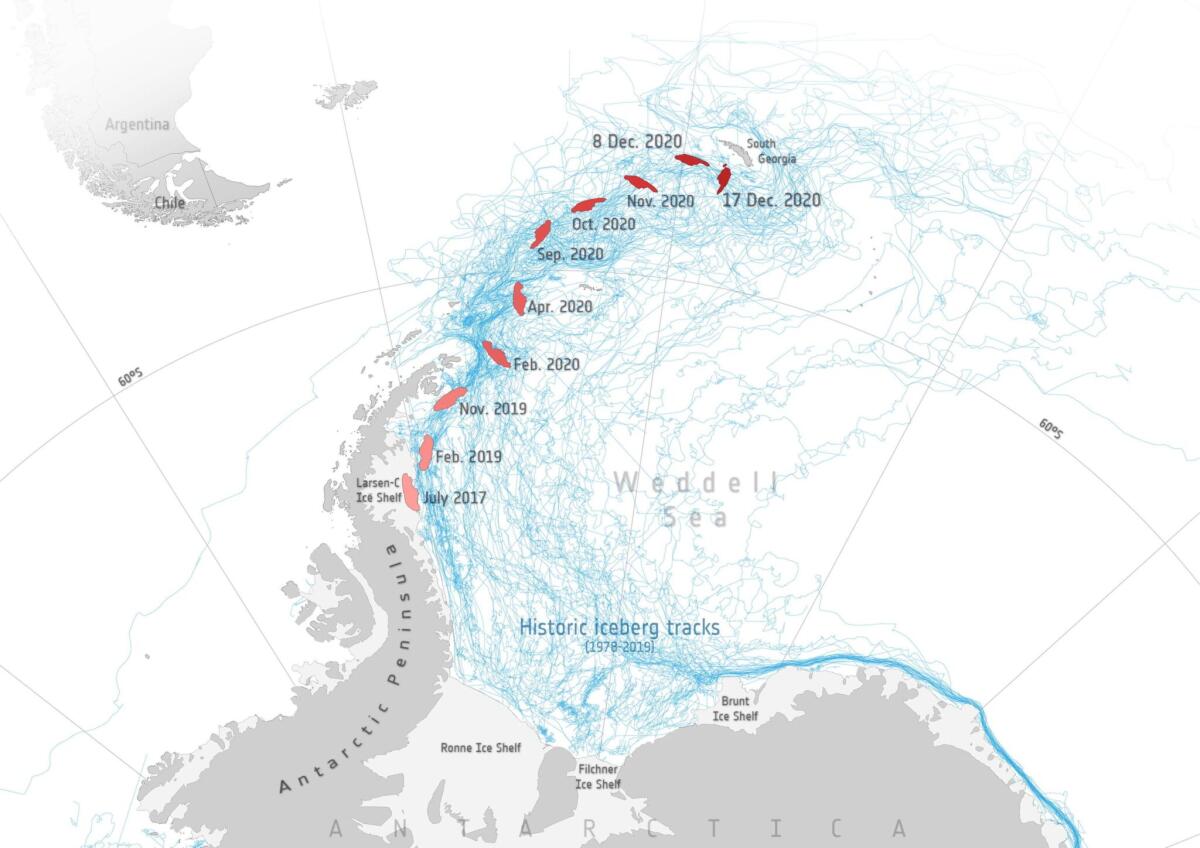 L’ultimo grido dell’Iceberg A-68: il ruolo dei ghiacciai. - Rainews.it