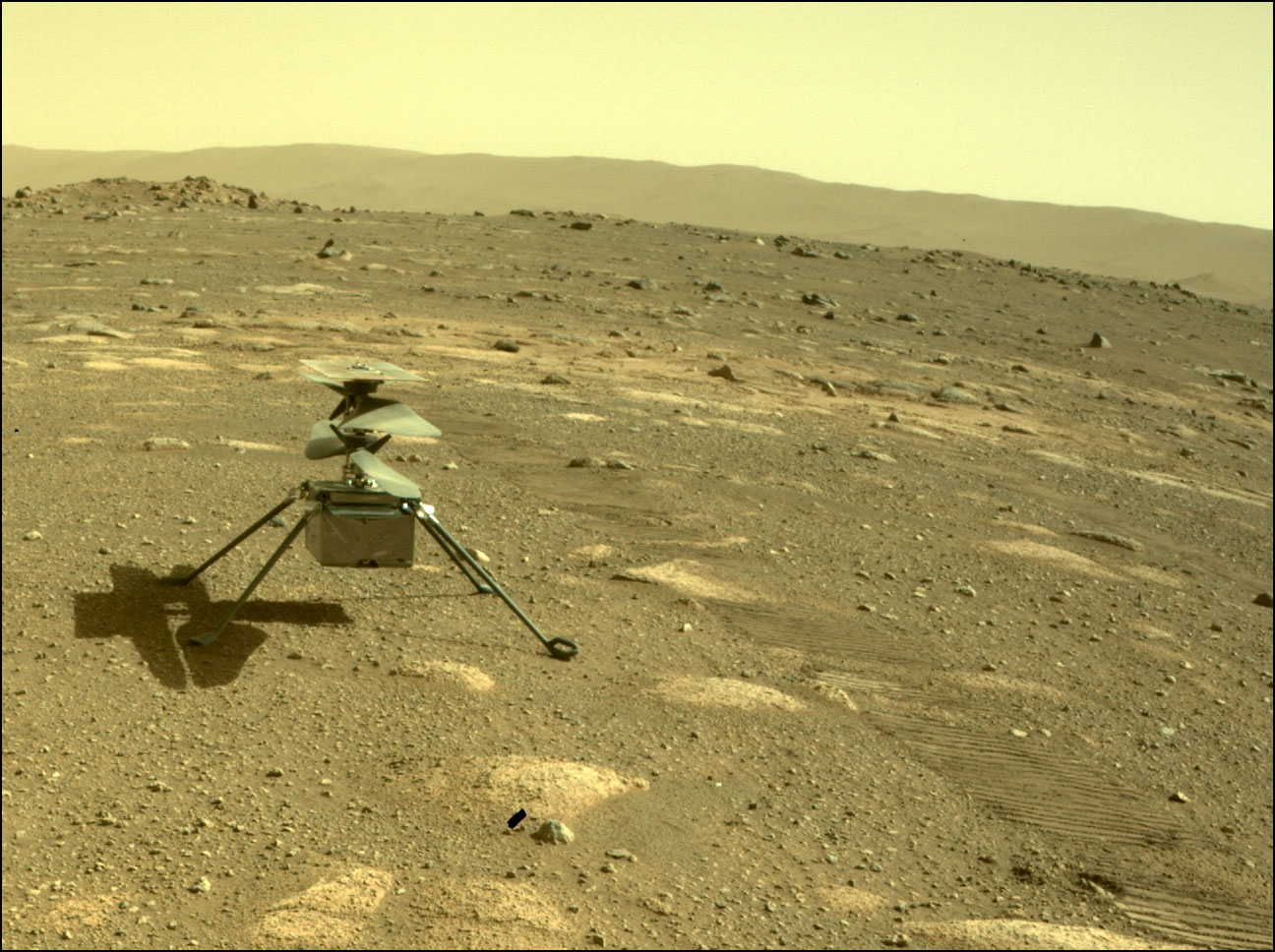 Prima foto di Ingenuity sul suolo marziano. Credits: NASA
