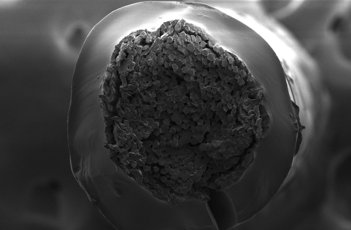 Immagine al microscopio elettronico a scansione della sezione trasversale della sutura ideata. Credits: Zhenwei Ma, McGill University.