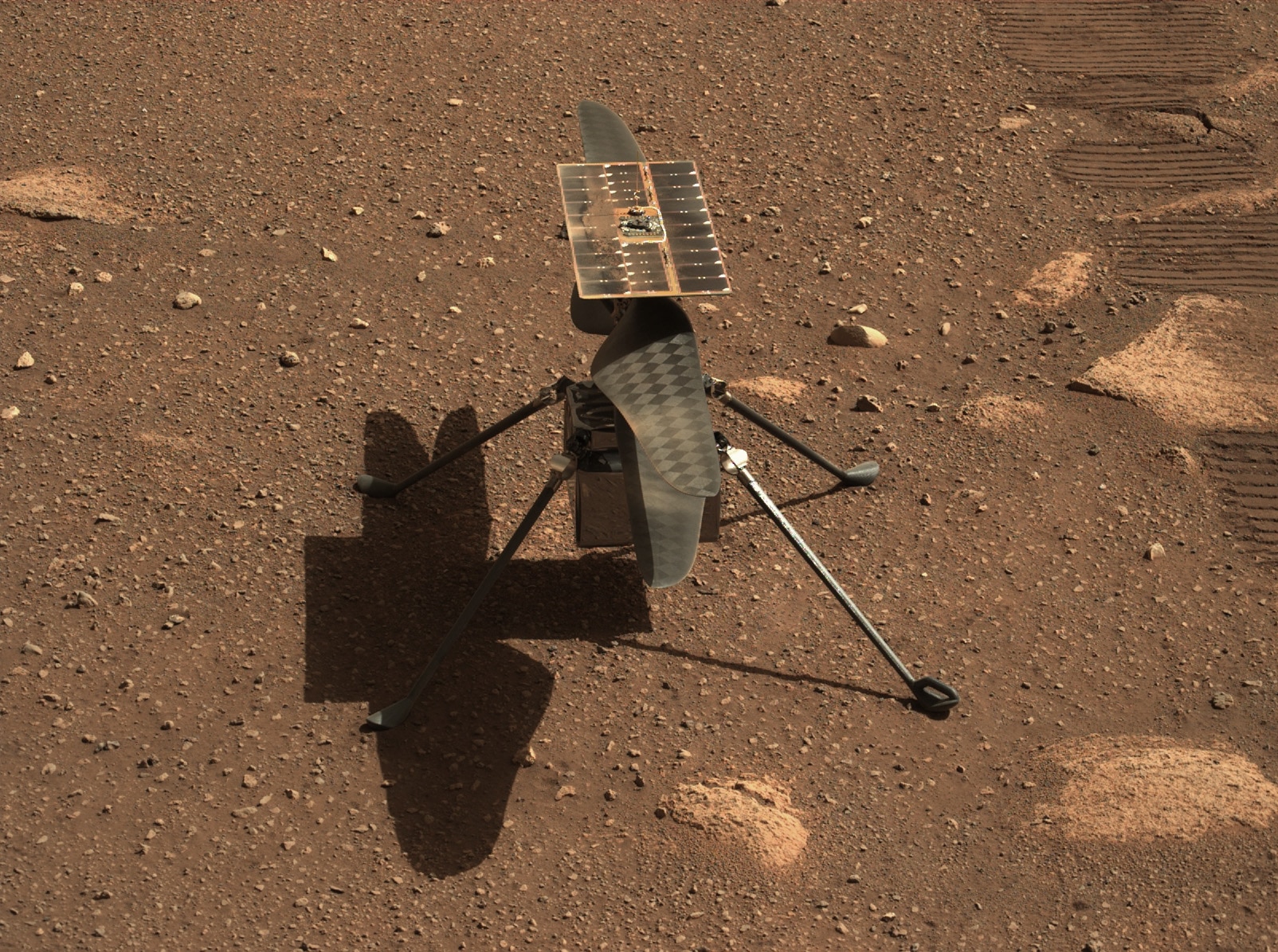 Foto di Ingenuity sul suolo marziano. Credits: NASA