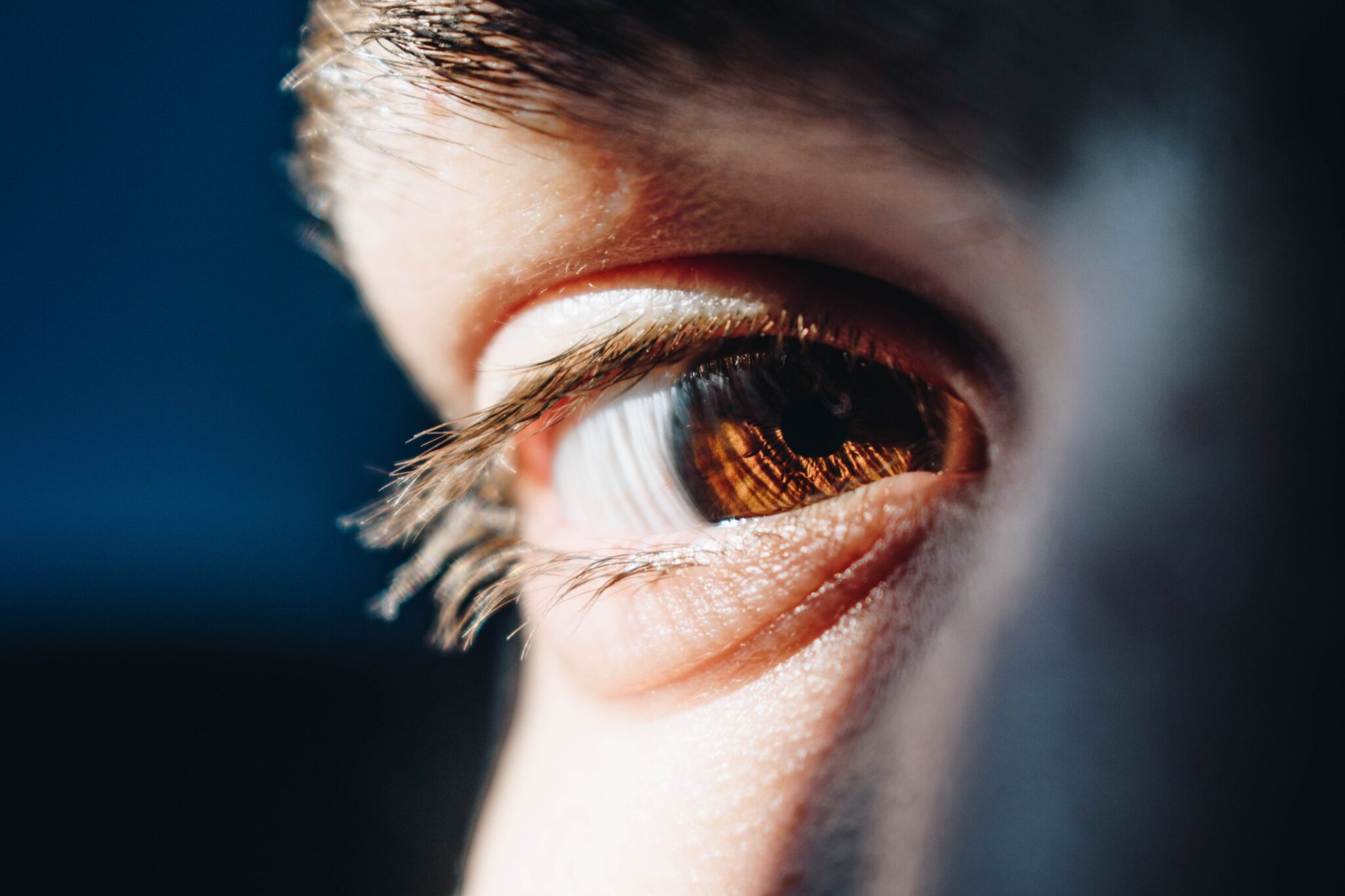 Credits: unsplash/bacila_vlad