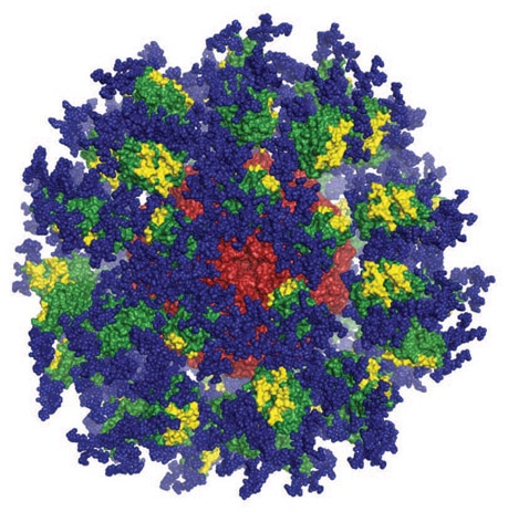 Immagine computerizzata della proteina immunostimolante eOD-GT8. Credits: Scripps Research e IAVI