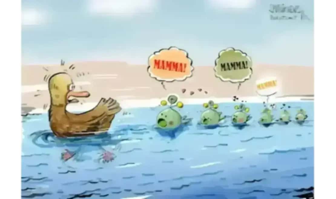 Fukushima: cause e conseguenze del rilascio di acqua