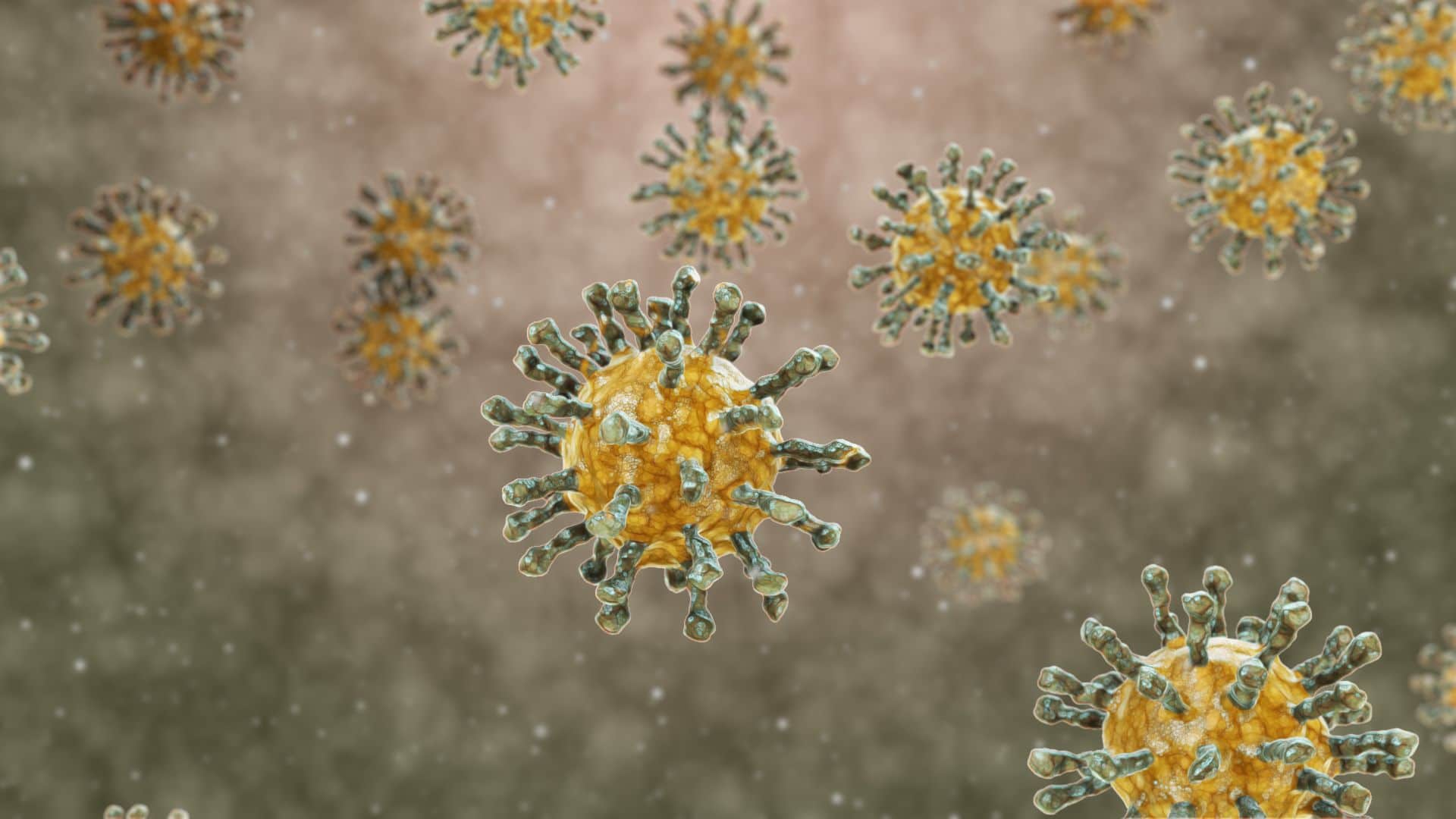 Il virus dell'immunodeficienza umana (HIV) è un lentivirus che causa l'infezione da HIV e la sindrome da immunodeficienza acquisita nel tempo (AIDS). L'AIDS è una condizione negli esseri umani in cui il progressivo fallimento del sistema immunitario conse