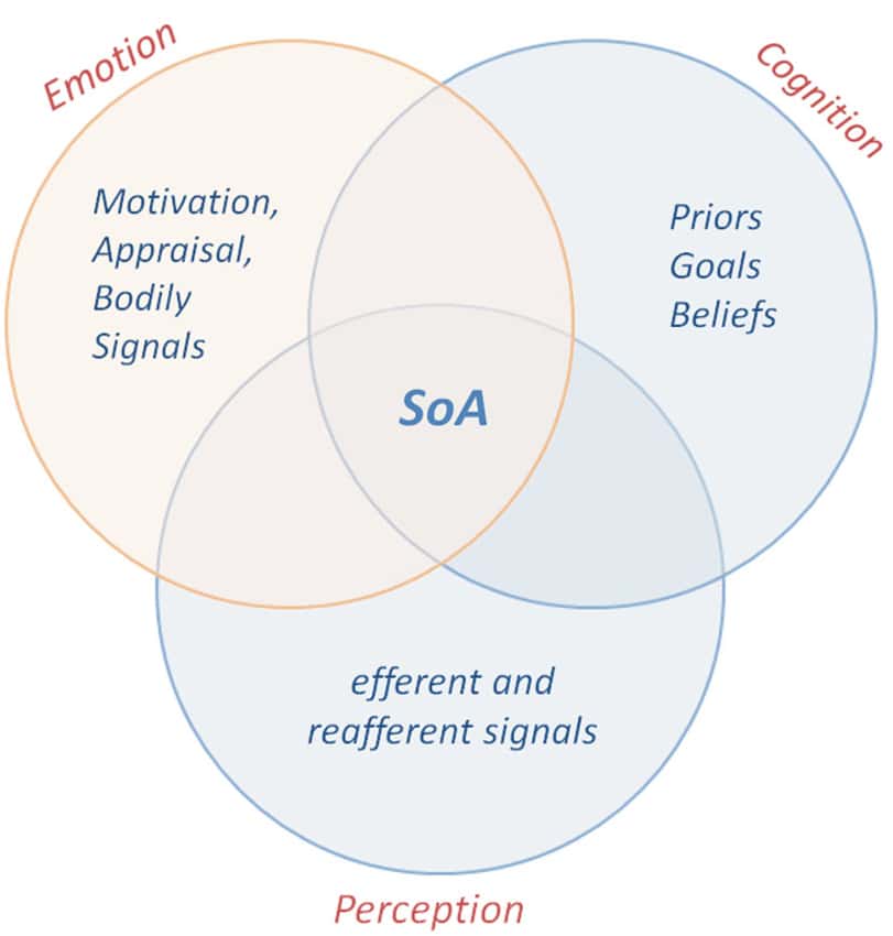 Schema del Sense of Agency. Credits: Frontiers