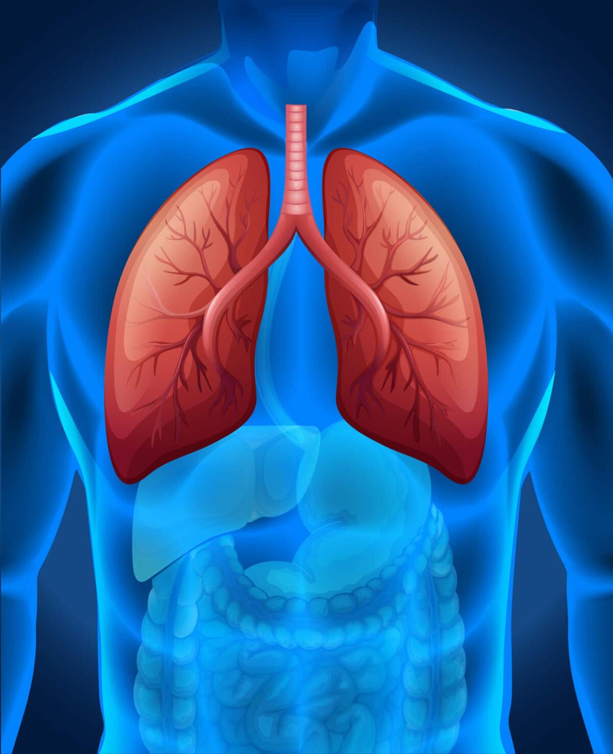 Lung-on-chip: da Harvard i modelli per lo studio di farmaci anti-Covid - 