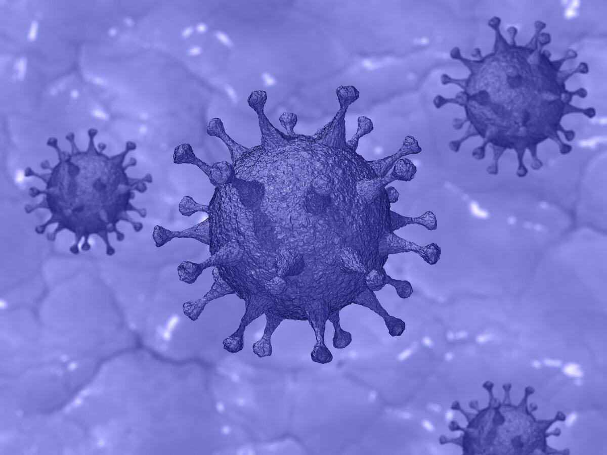 Certificato vaccinale e Green Pass direttamente su smartphone - certificato vaccinale