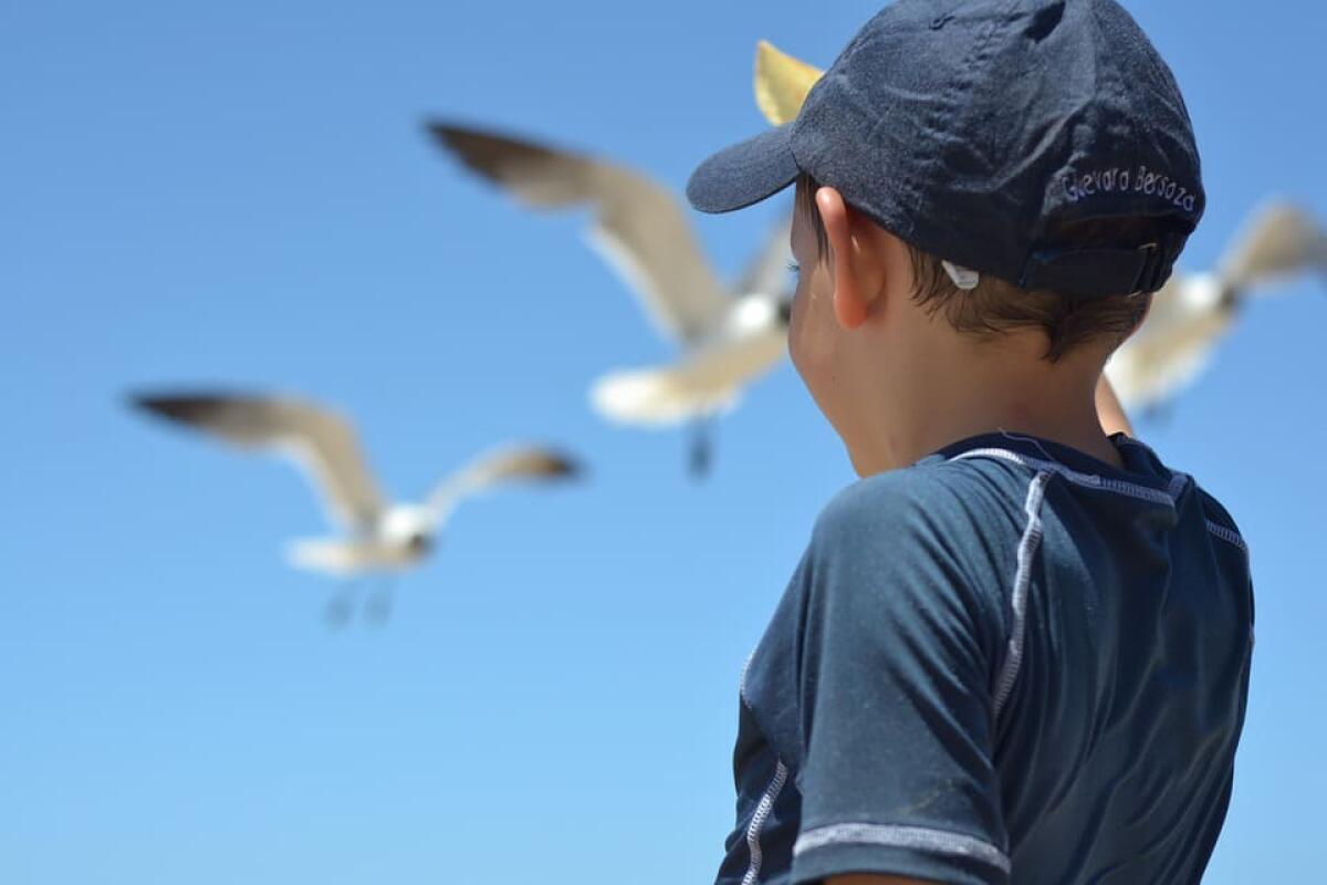 Sindrome di Asperger: cause, sintomi, diagnosi e terapia - sindrome di Asperger