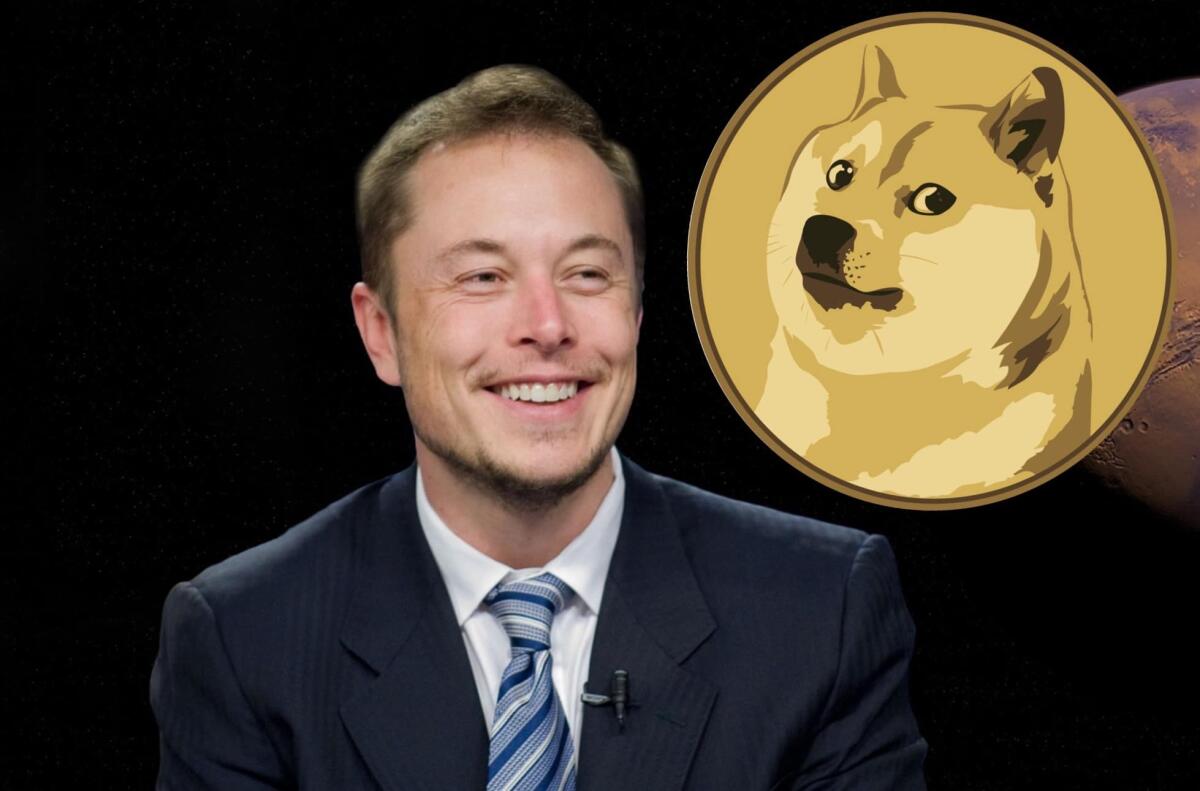 Dogecoin, la cryptovaluta di Elon Musk: “La moneta della gente” - 