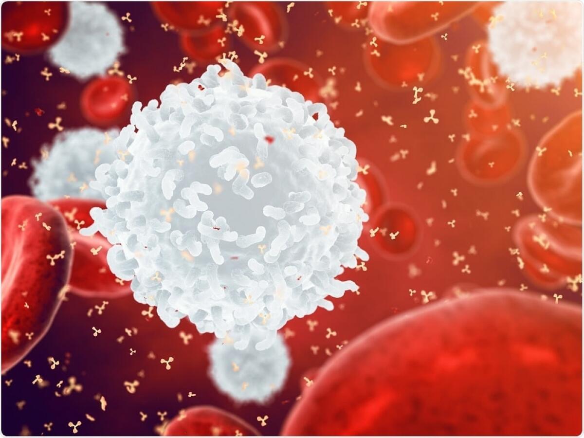 Allergia o patologia autoimmune? Gli sbagli del nostro sistema immunitario - Allergia o patologia autoimmune? Gli sbagli del nostro sistema immunitario
Credits: microbiologiaitalia.it
