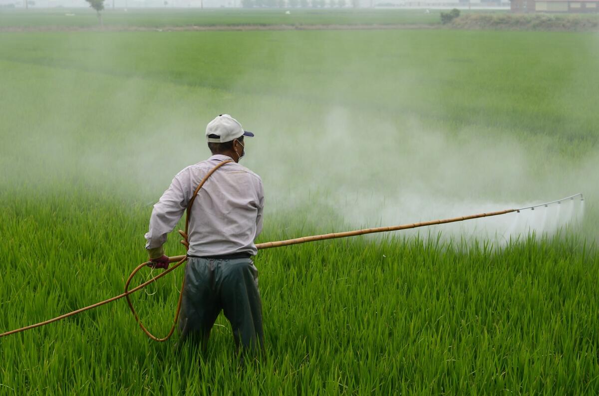 Pesticidi: armi che ci proteggono o nemici da combattere? - Pesticidi: armi che ci proteggono o nemici da combattere?