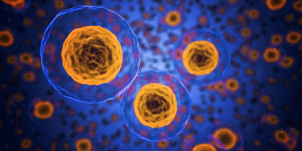 Una nuova tecnica di terapia genica spinge il tumore all'autodistruzione - 