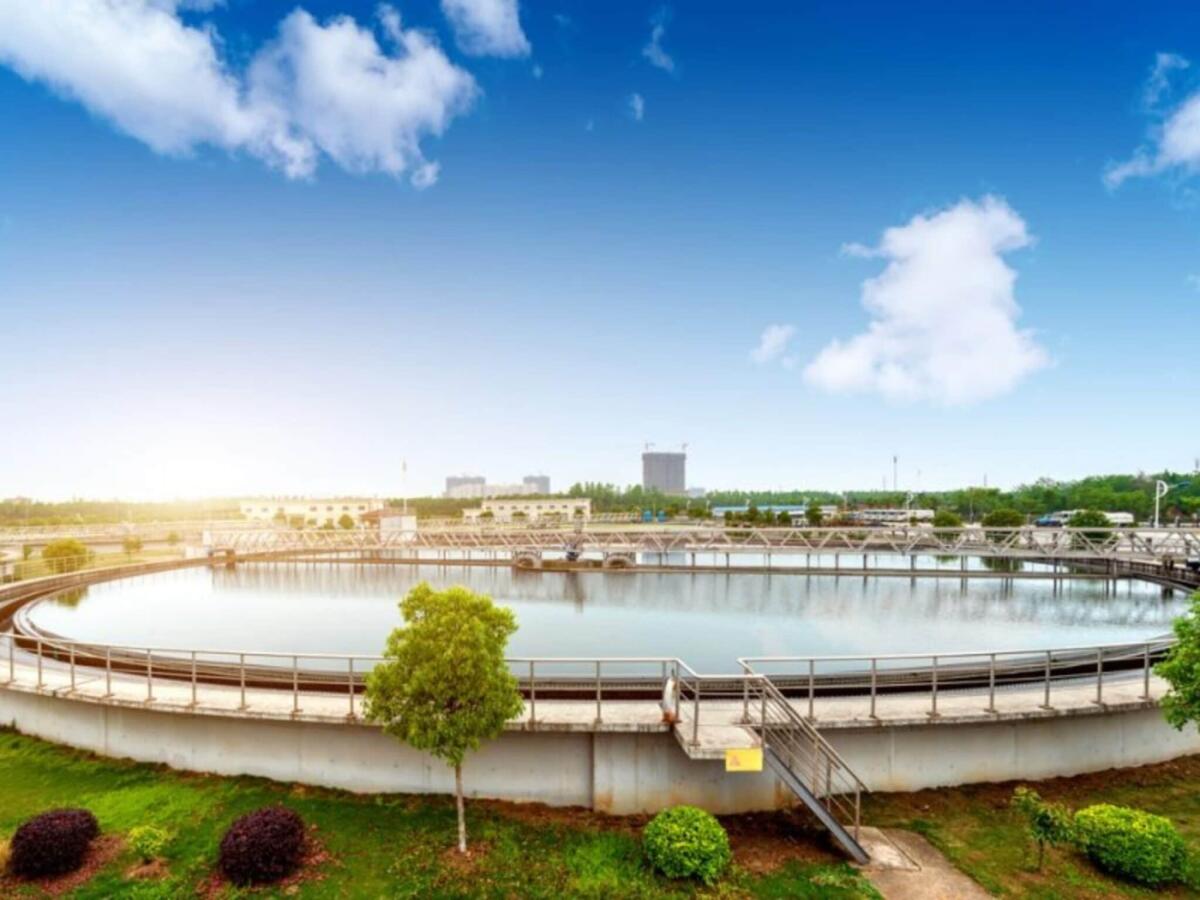 Dalla biomassa alle nanoparticelle per depurare l’acqua - asvstubbe.it