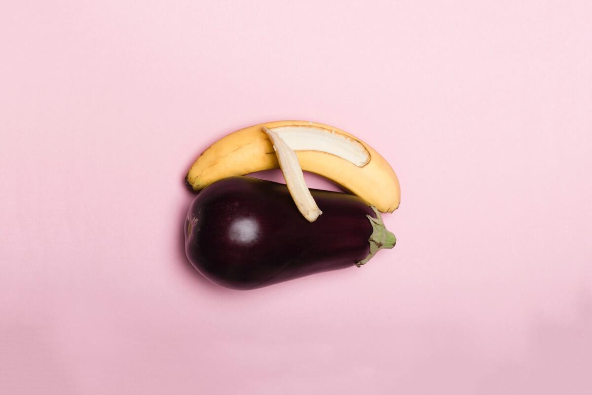 "Essere omosessuale è contro natura!" Pregiudizio o verità biologica? - 