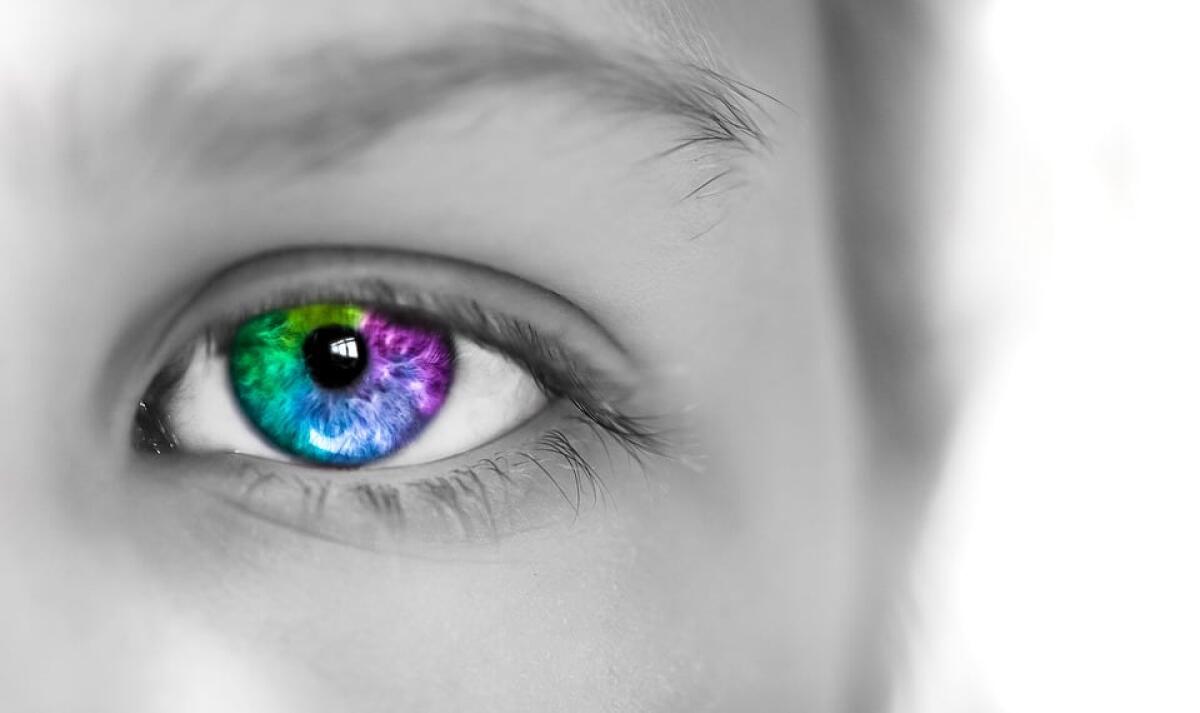 Nuovi occhiali per daltonici: i colori a disposizione di tutti! - 
