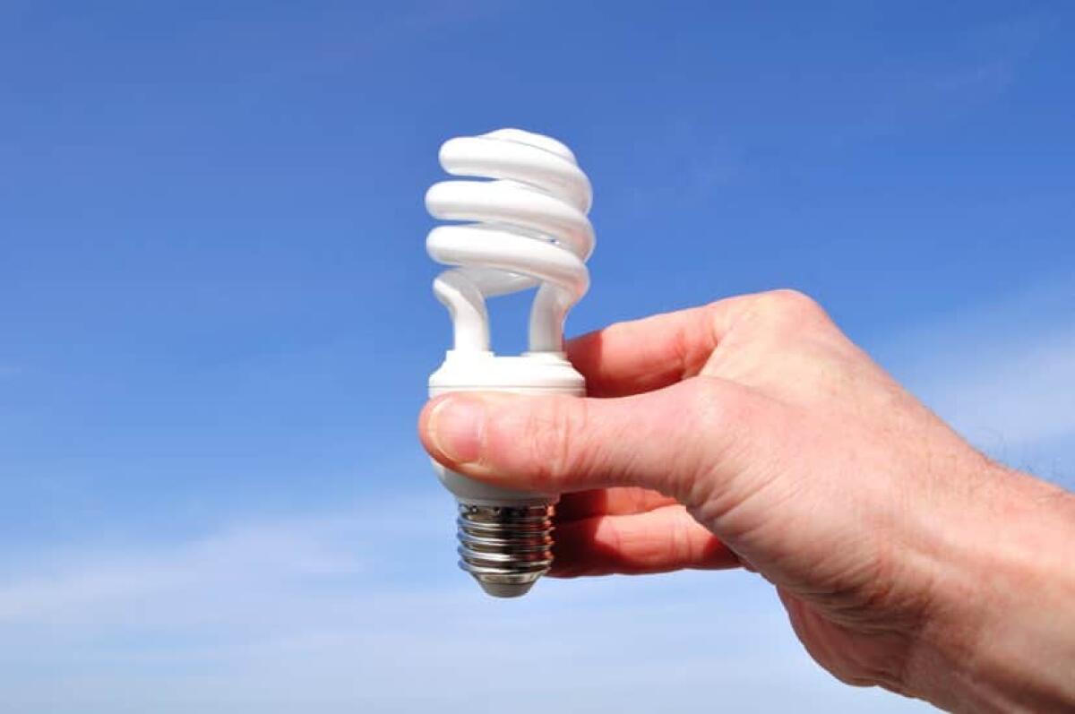 Le lampade CFL: come usarle per coltivare - 