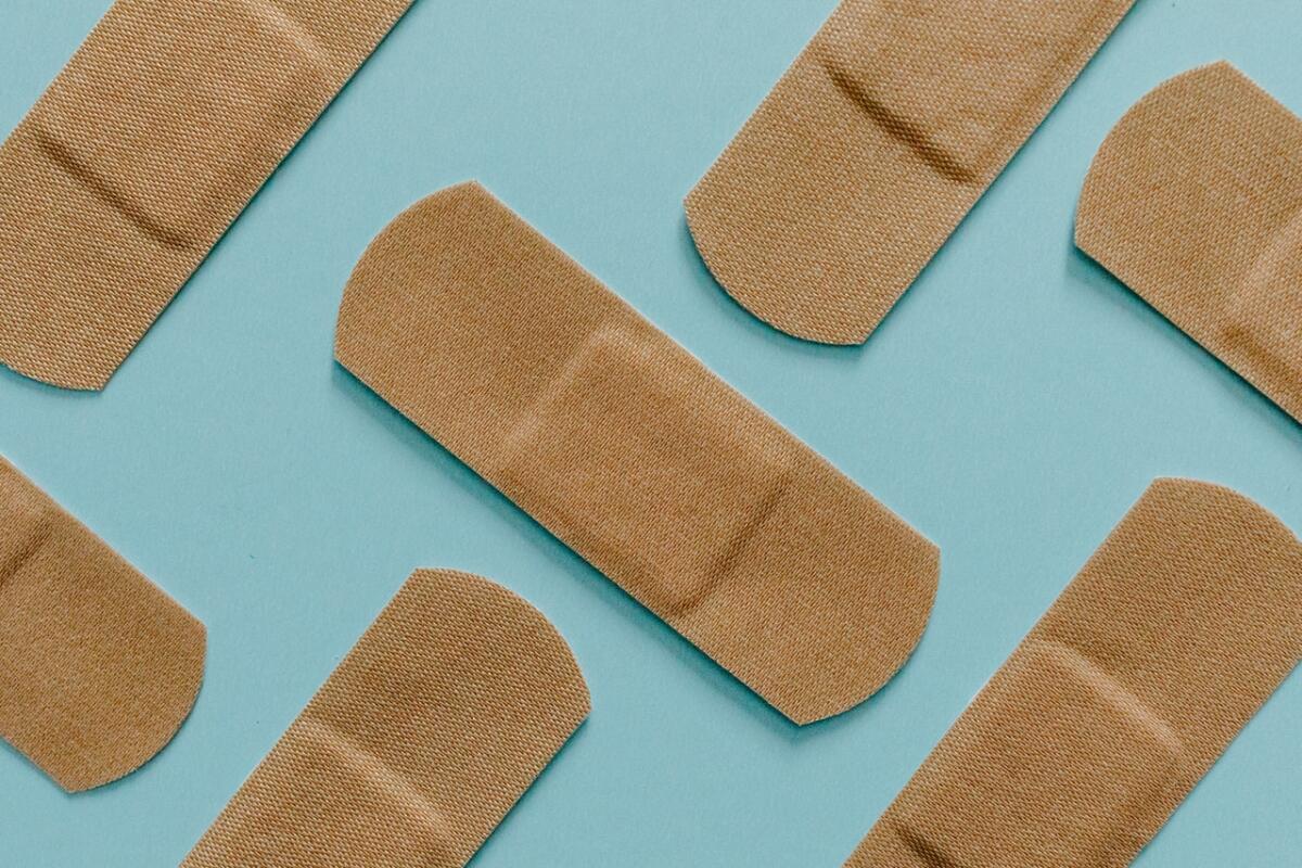 Biocerotto del MIT, ecco la novità che sta conquistando tutti - Biocerotto del MIT, ecco la novità che sta conquistando tutti