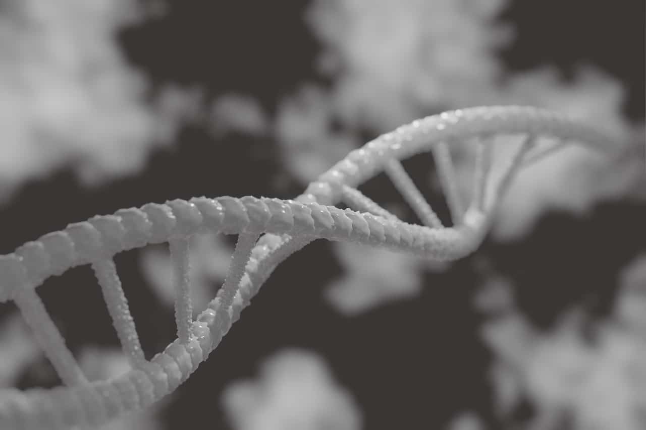 Rappresentazione grafica del doppio filamento di cui è composta una molecola di DNA