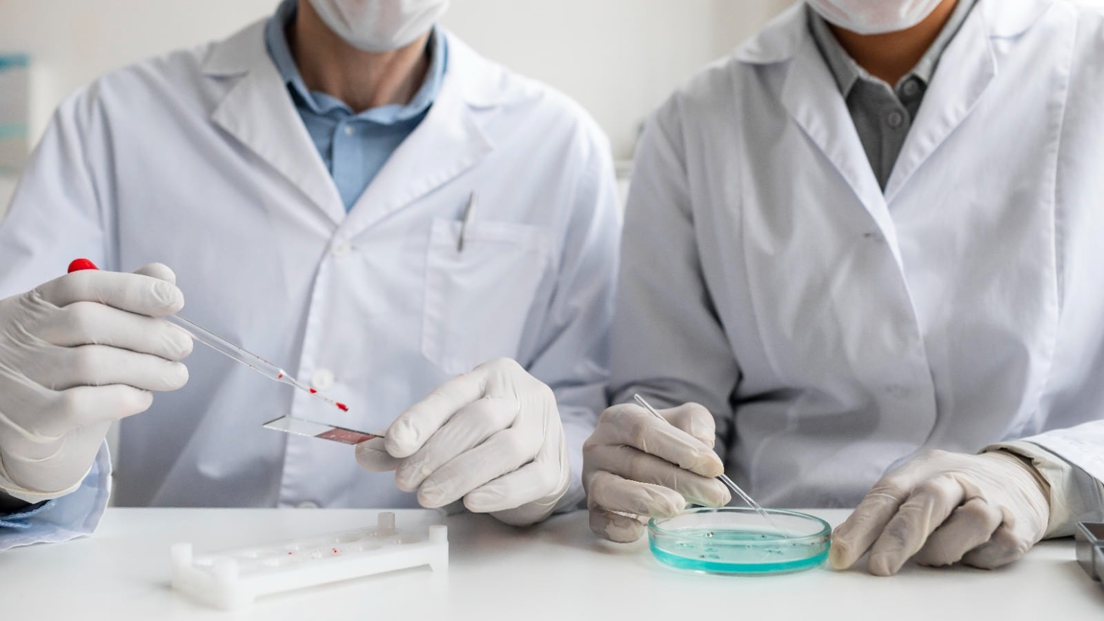Scienziati a lavoro sullo studio di batteri