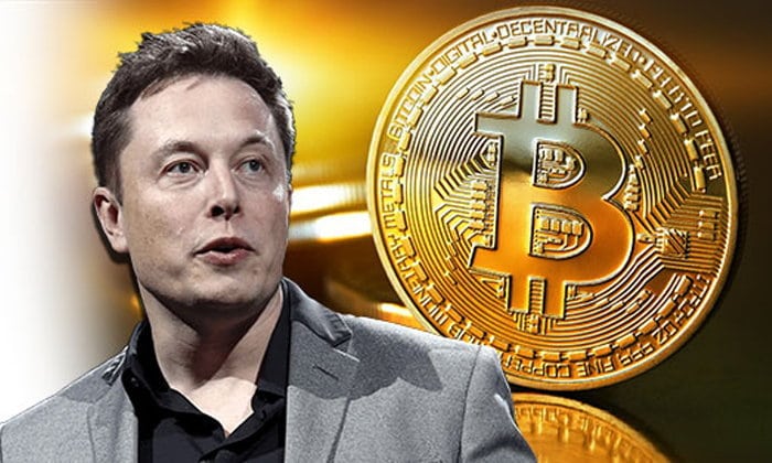 Elon Musk Dogecoin