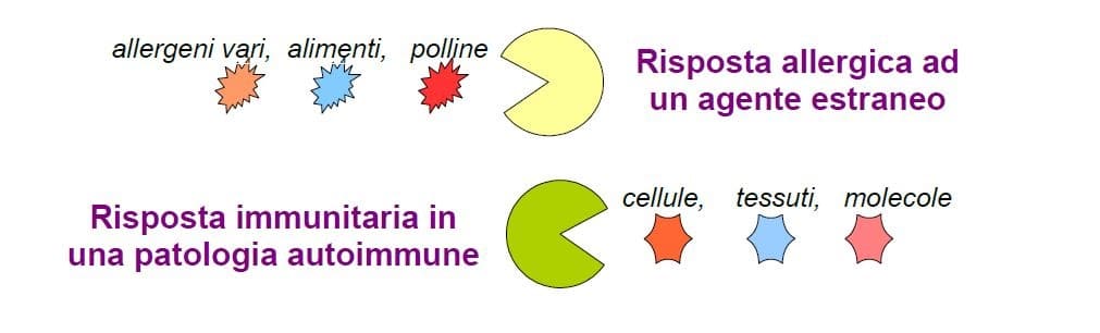 Differenza tra risposta allergica e patologia autoimmune