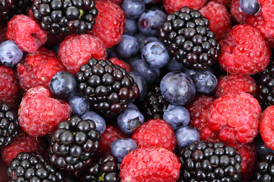 I frutti rossi contengono grandi quantità di flavonoidi (fitochimici)
