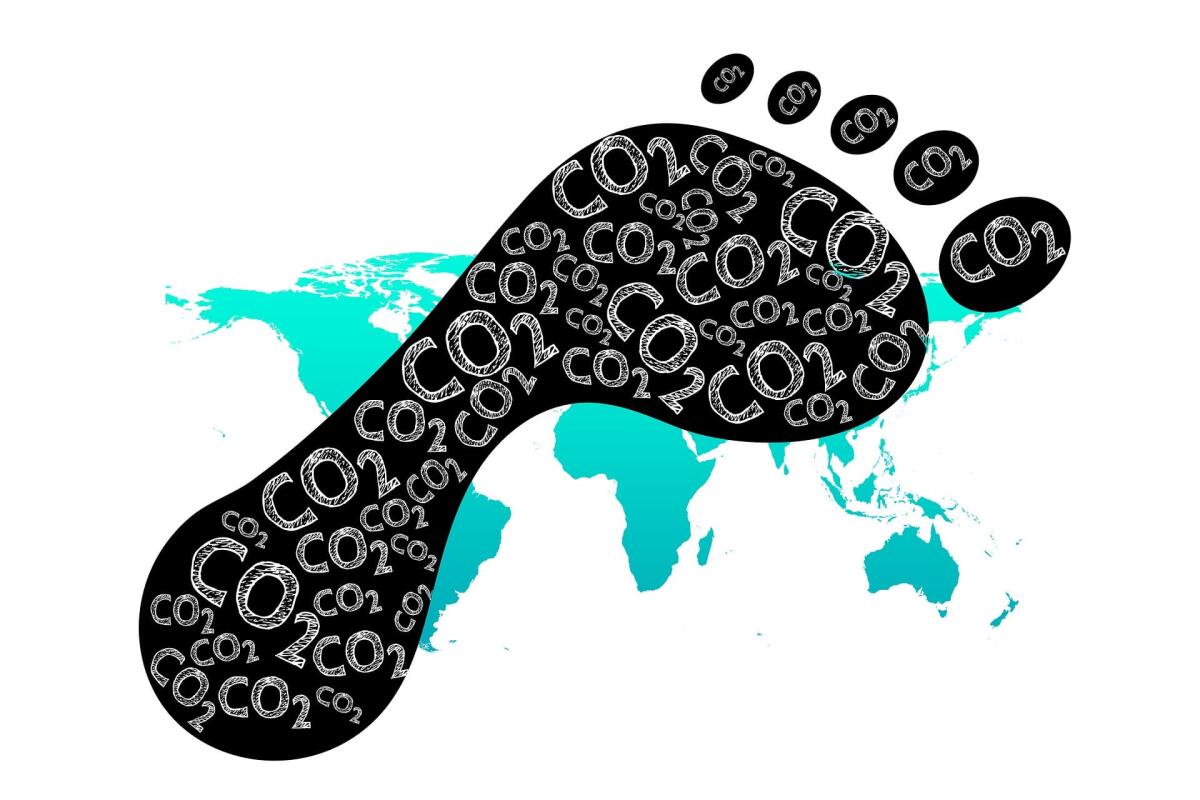 Restrizioni e lockdown: di quanto hanno ridotto le emissioni di CO2? - 