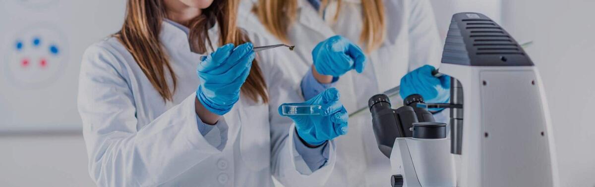 Cellule staminali riprogrammate per curare l’epidermolisi bollosa - 