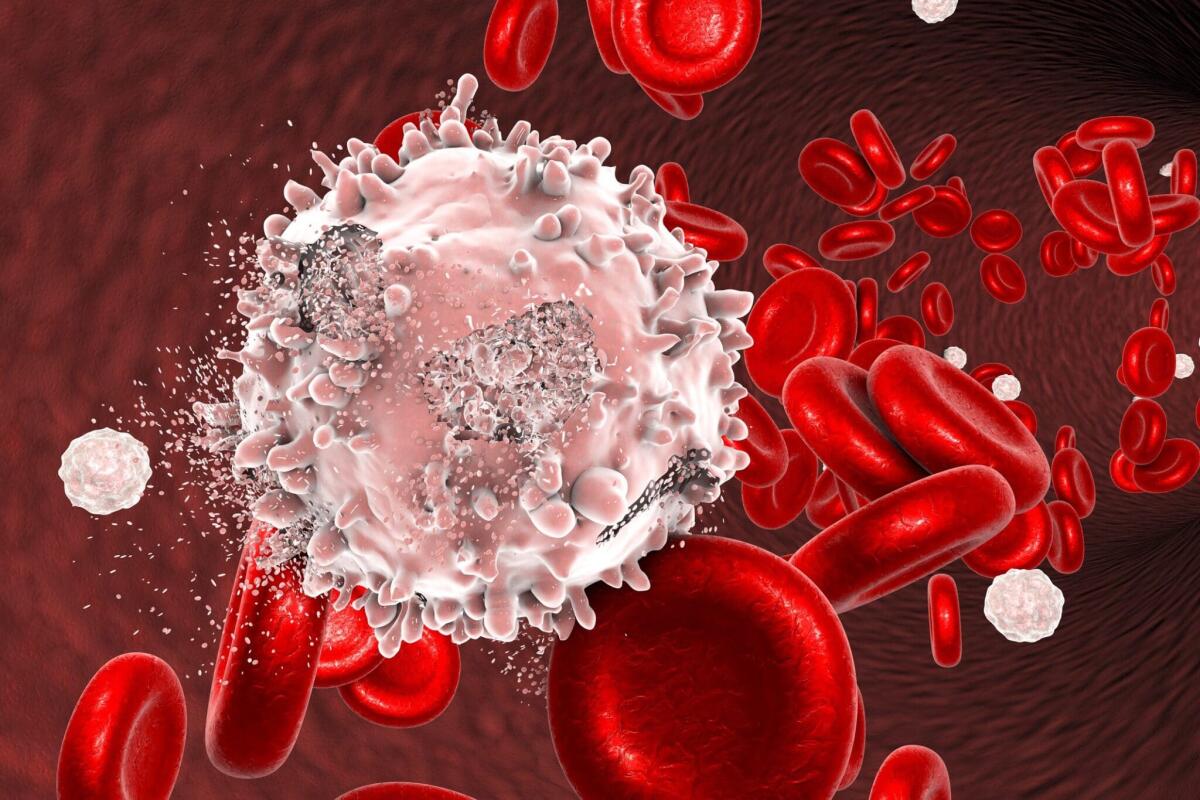 Leucemia: primi tre bambini trattati con successo grazie alla terapia con cellule CAR-T - Credits: ItaliaSalute